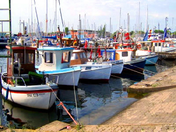 Fischerei Hafen in Travemünde